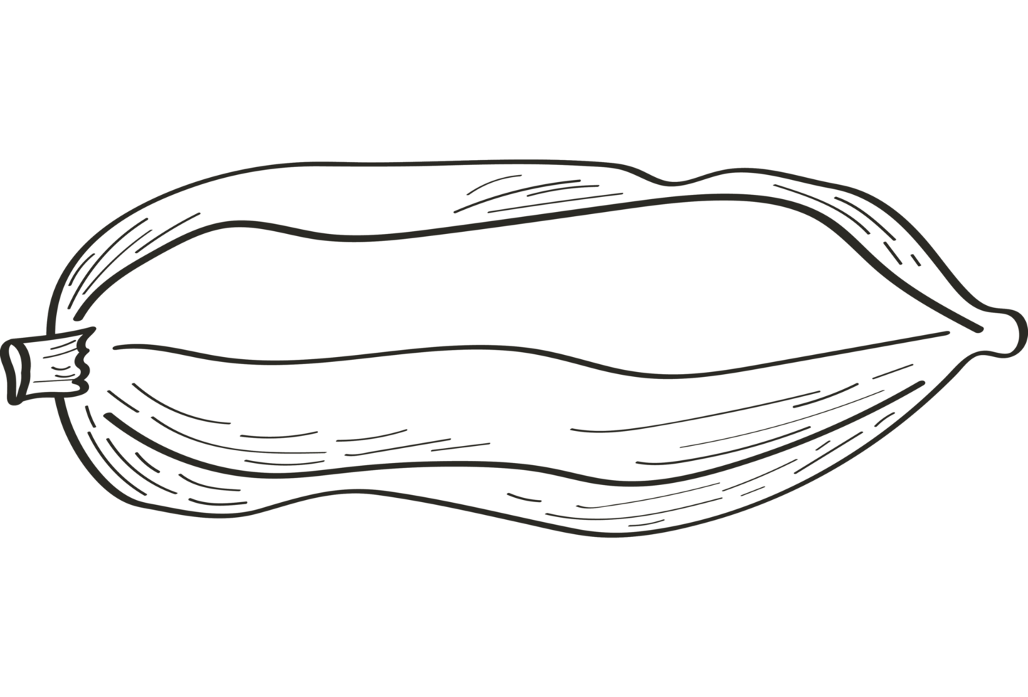 cocoa fruit icon png