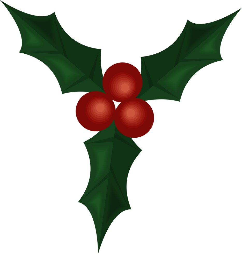 christmas mistletoe decoration png