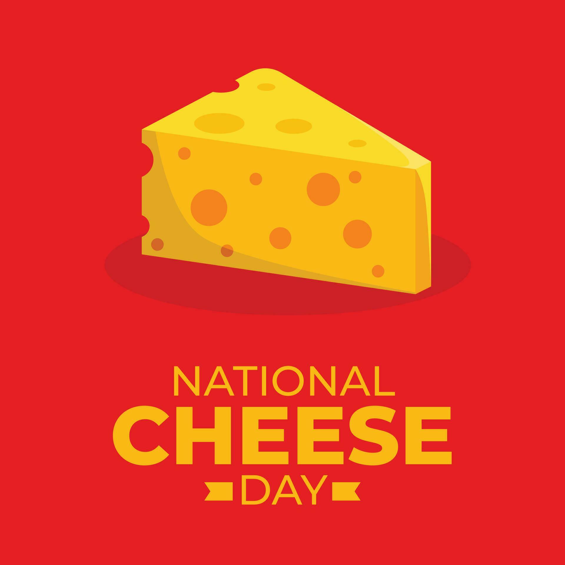 vector graphic of National cheese day good for National cheese day