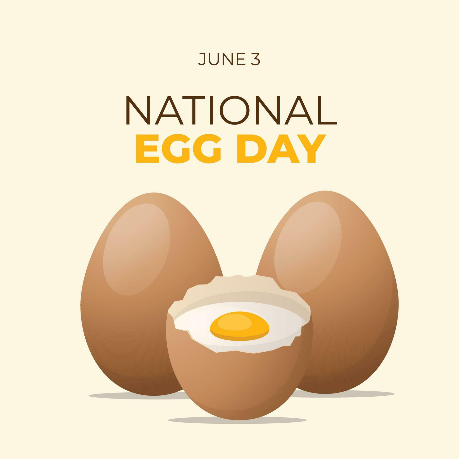 vector graphic of National Egg Day good for National Egg Day