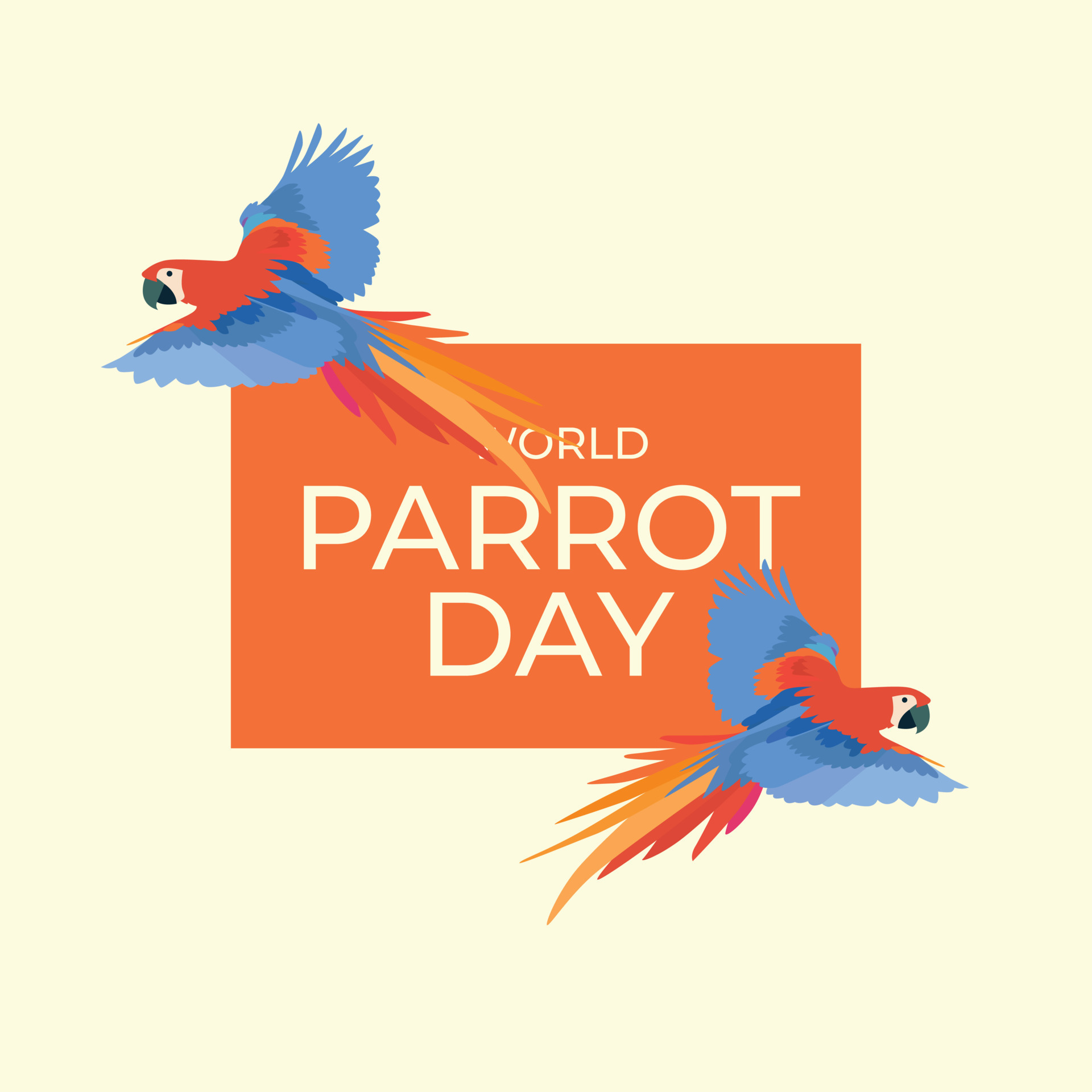world parrot day design template for celebration. parrot vector design