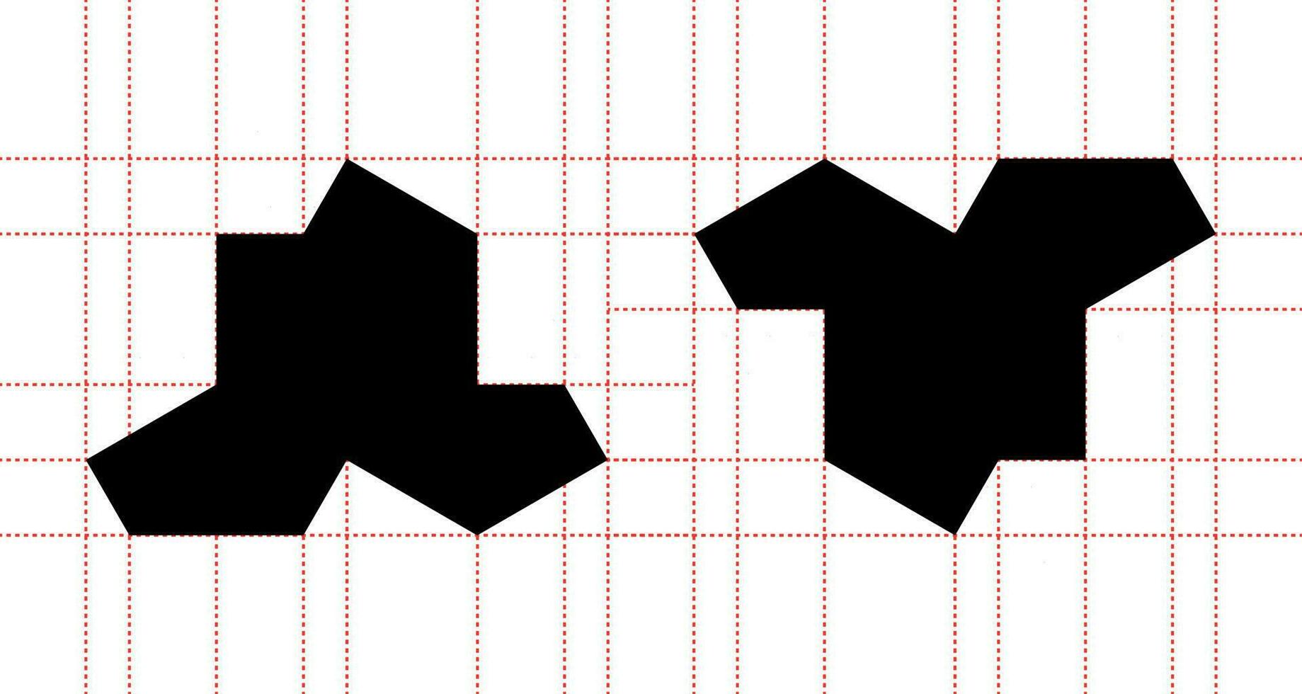 preciso forma de el sombrero, 13 lados polikita, aperiódico monotilo, no repetitivo patrones polígono forma ese matemáticos descubierto vector