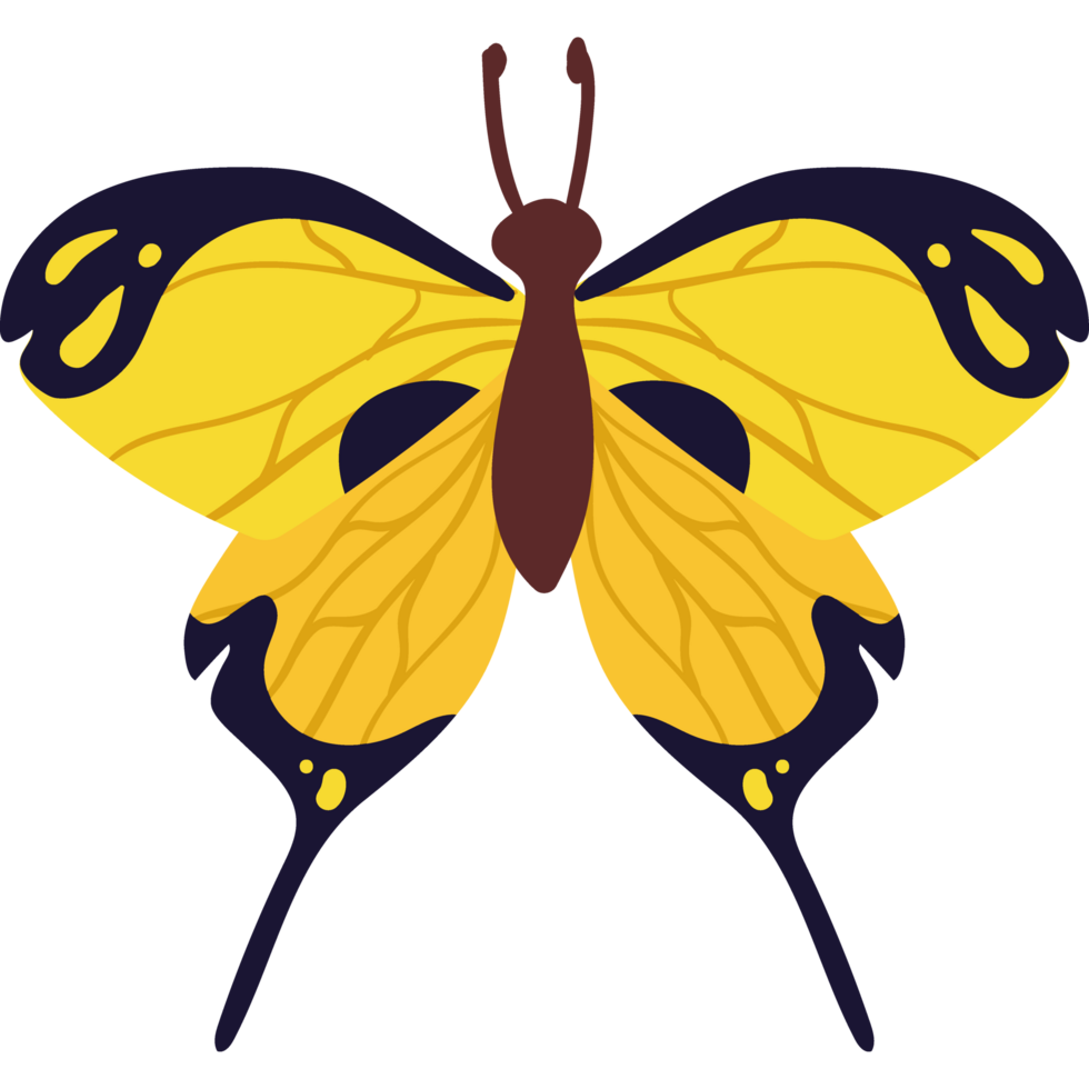 cute yellow butterfly png