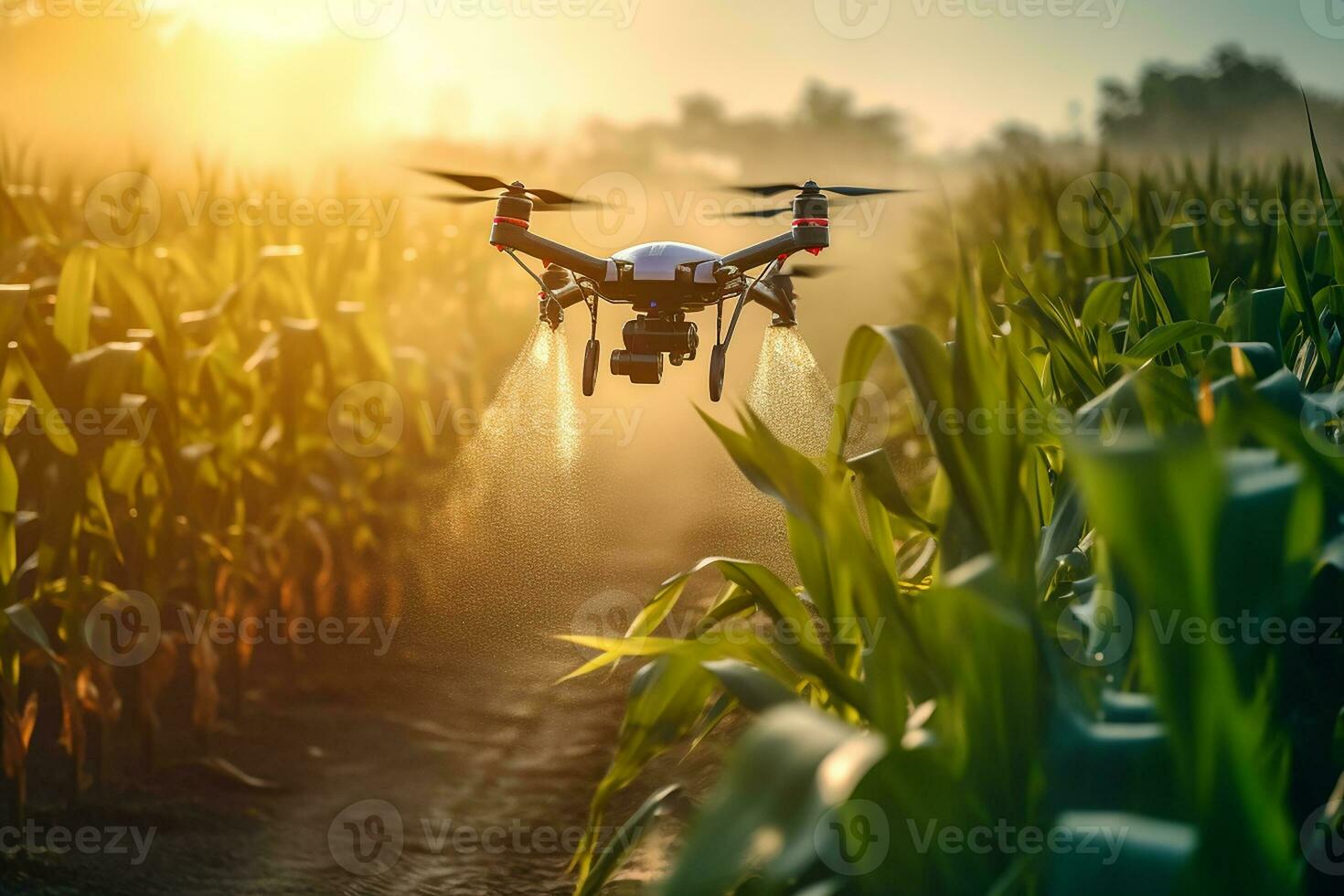 A drone spraying fertilizer in a corn field with Ai Generator photo