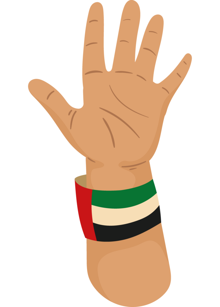 bandera de los emiratos árabes unidos en la pulsera png