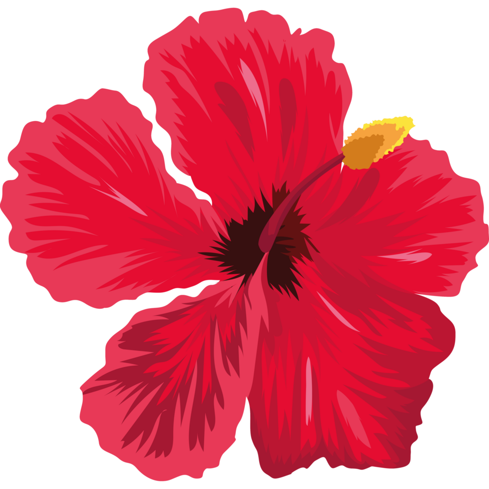 hibisco de flor exótica roja png