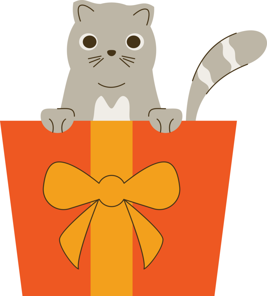 little cat in gift png