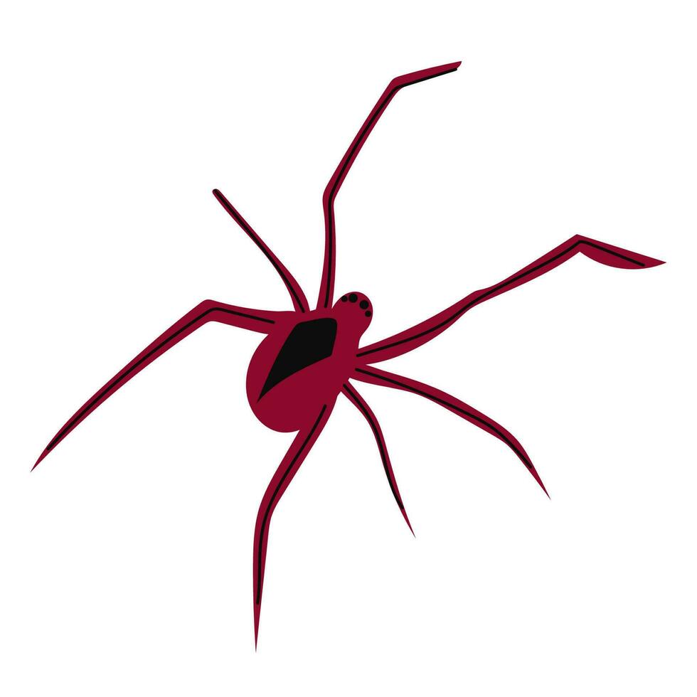 Spider flat silhouette scary, animal poisonous design. Black spider silhouette nature phobia insect danger silhouette vector icon.
