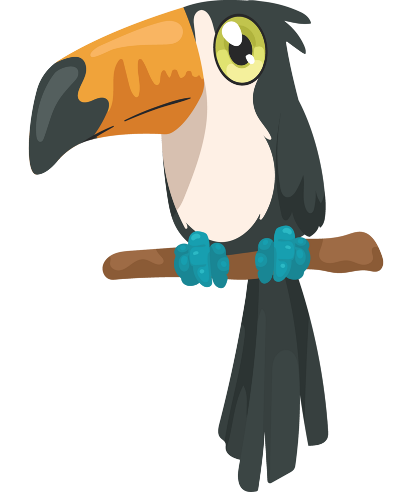 mignonne toucan bébé png