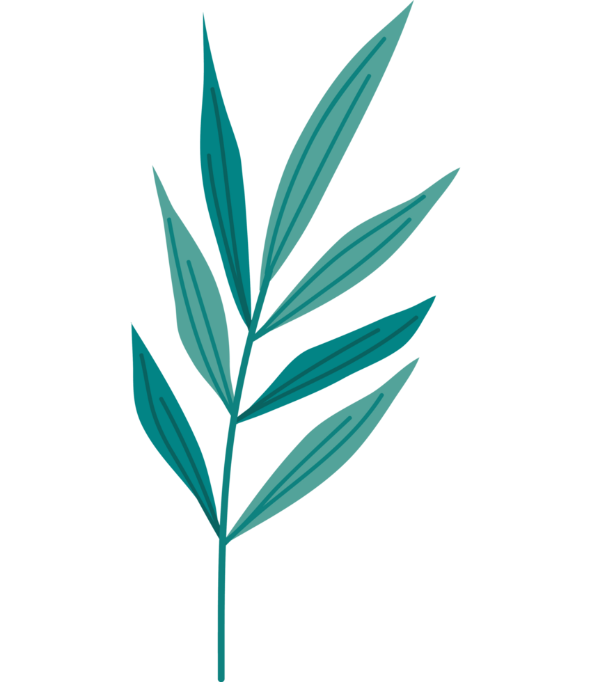 branch with leaves png