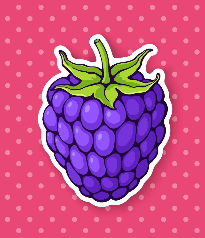Blackberry fruit with stem. Healthy diet and vegetarian food. Sticker with contour. Decoration for packaging, prints for clothes, posters, menus. Isolated on white background vector