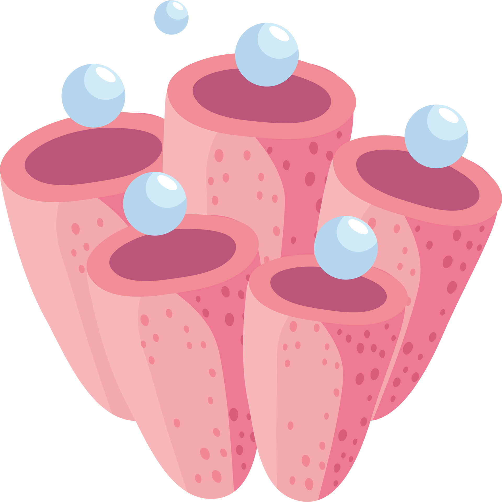 pink seaweed and bubbles 24096579 PNG