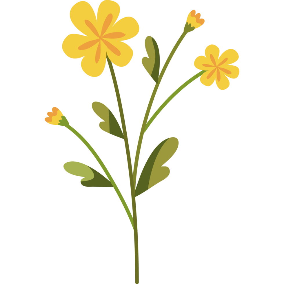 yellow flowers garden 24096629 PNG