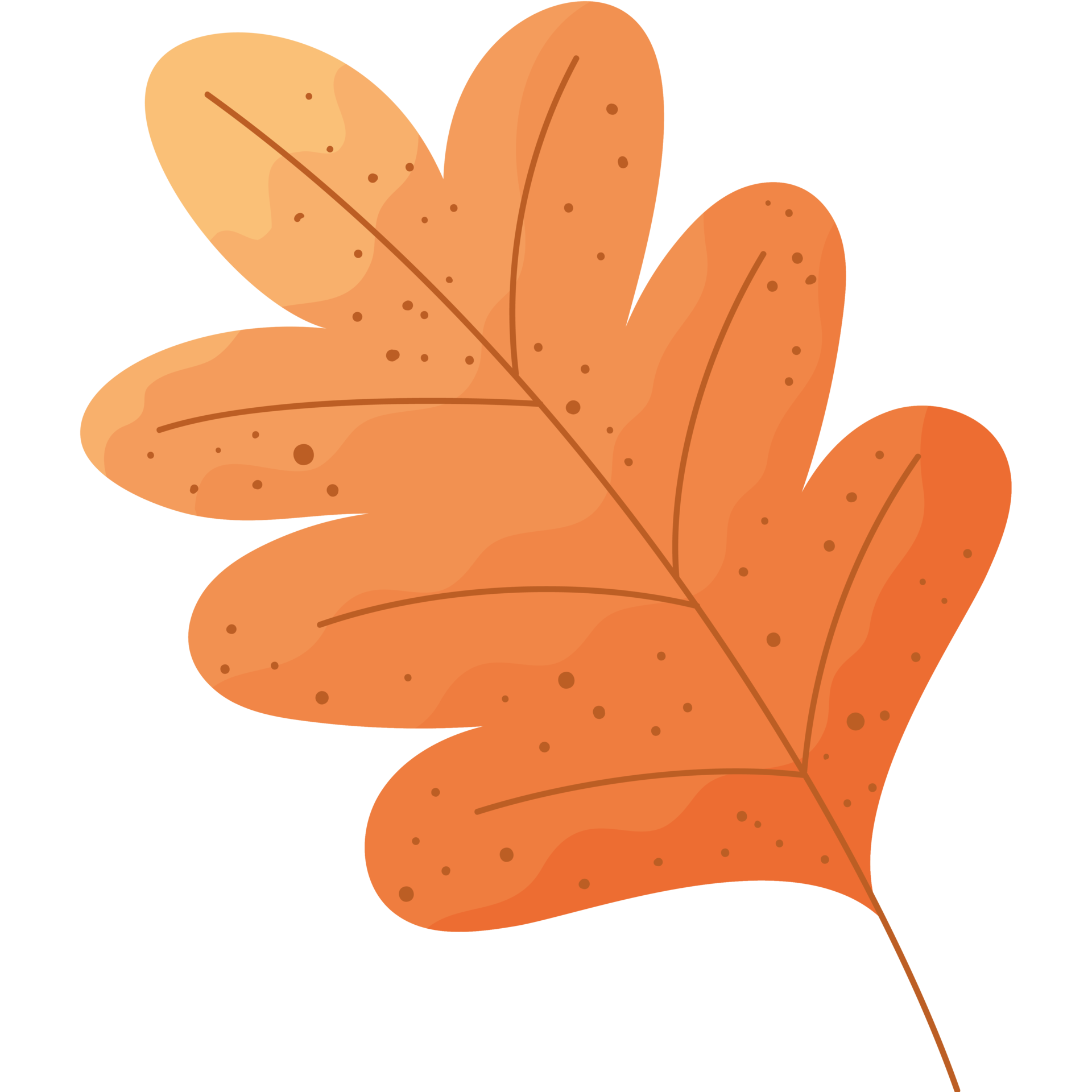 orange leaf plant foliage 24096702 PNG