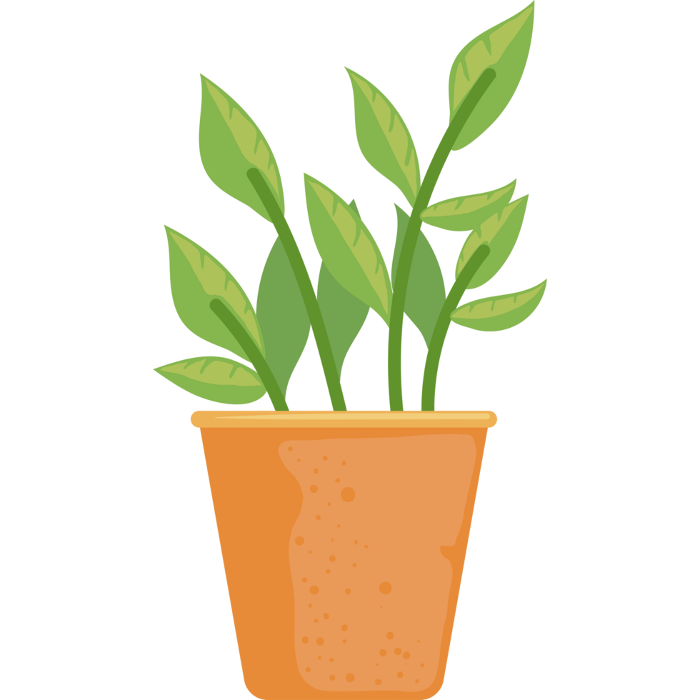 planta de interior en maceta png