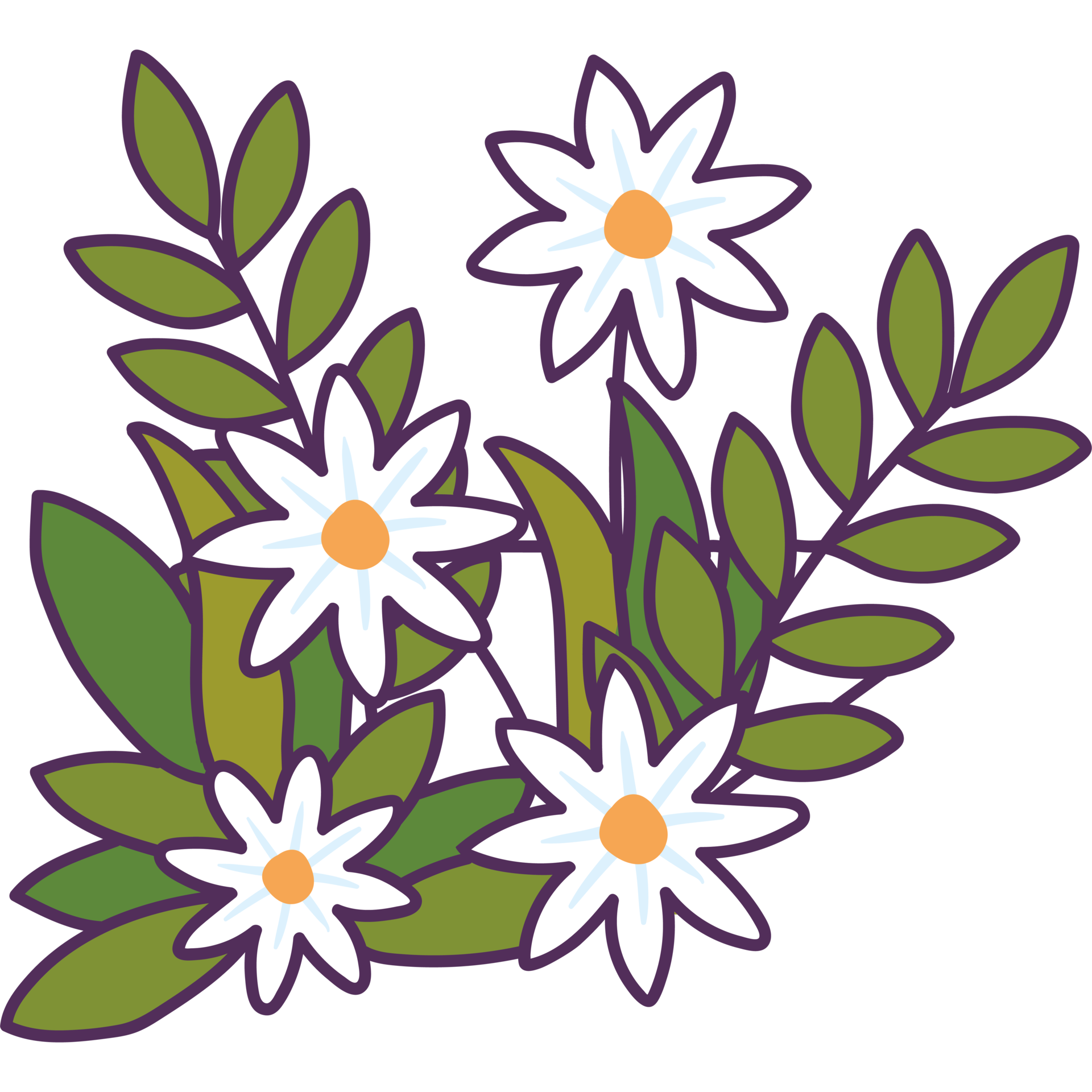 white flowers garden 24096941 PNG