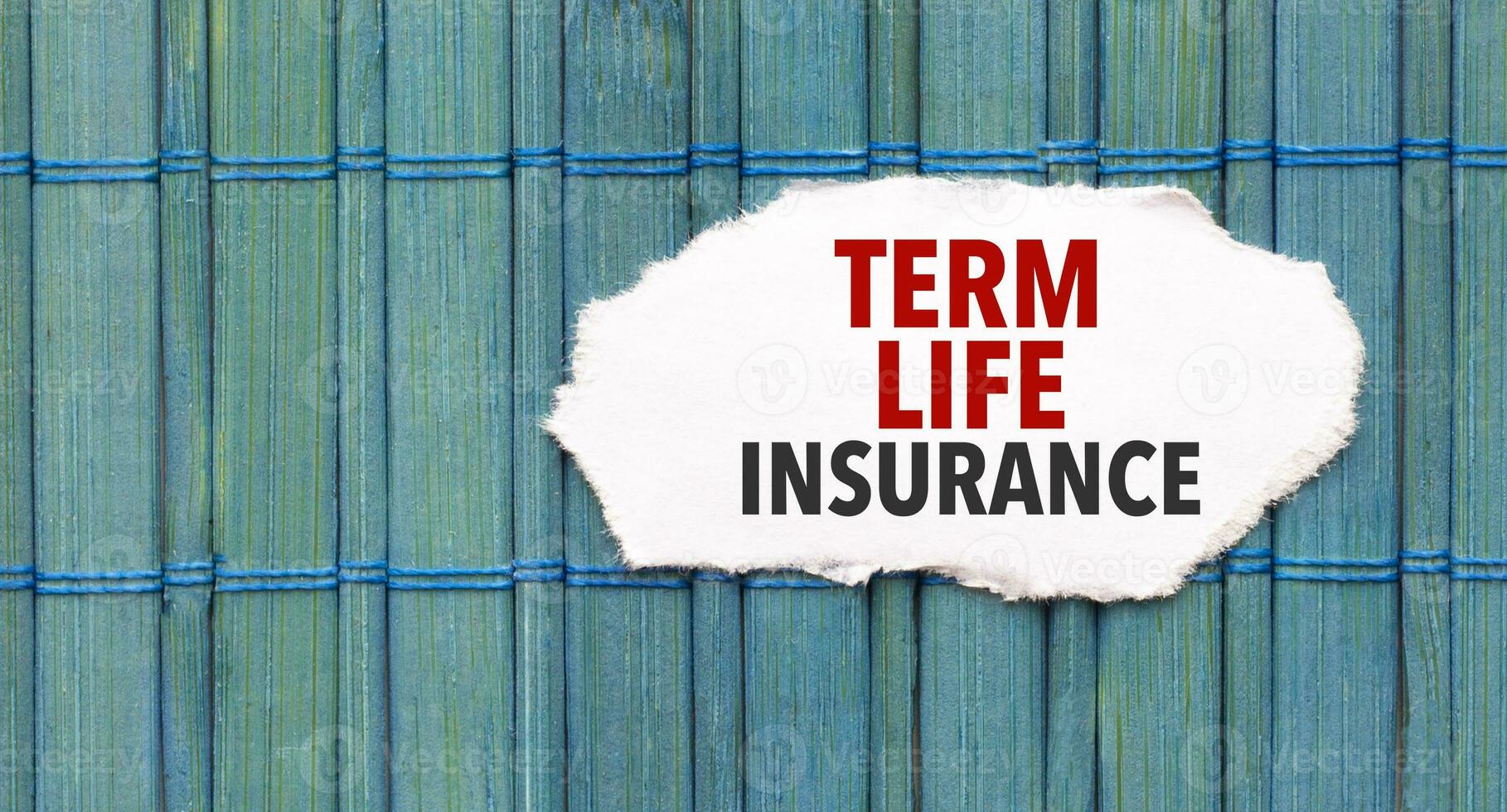 Text TERM LIFE INSURANCE on the piece of paper on the green wood background photo