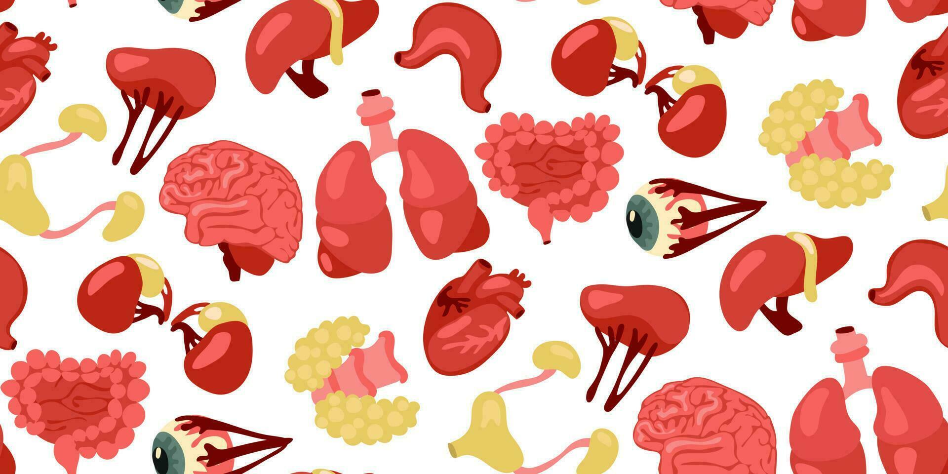 A pattern of human internal organs for operations and transplantation. Including heart, liver, kidneys, eye, bladder, pancreas brain, intestines, stomach. Flat Seamless Vector Pattern on white