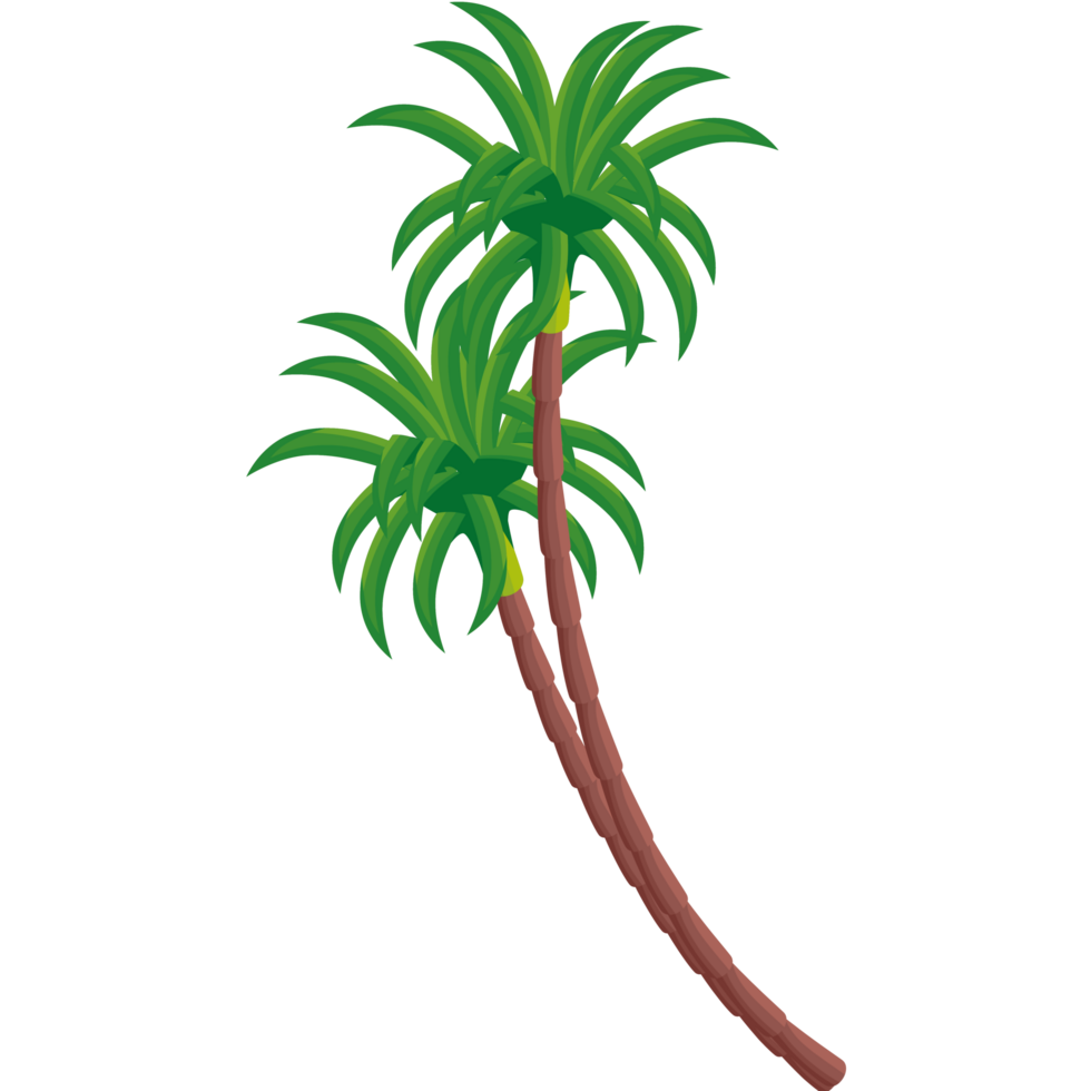 trees palms tropical plants png