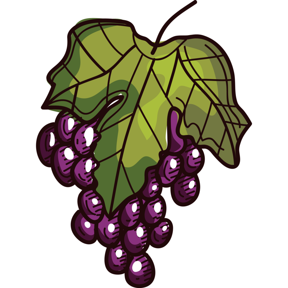 grapes fresh fruits healthy png