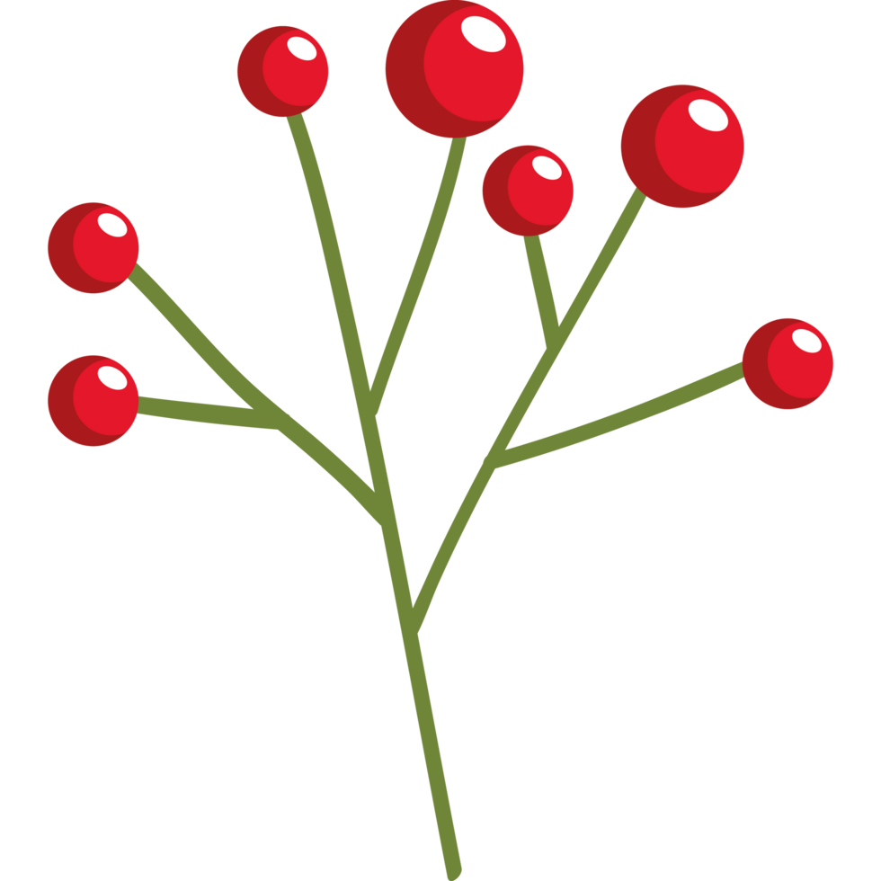 christmas branch with seeds png