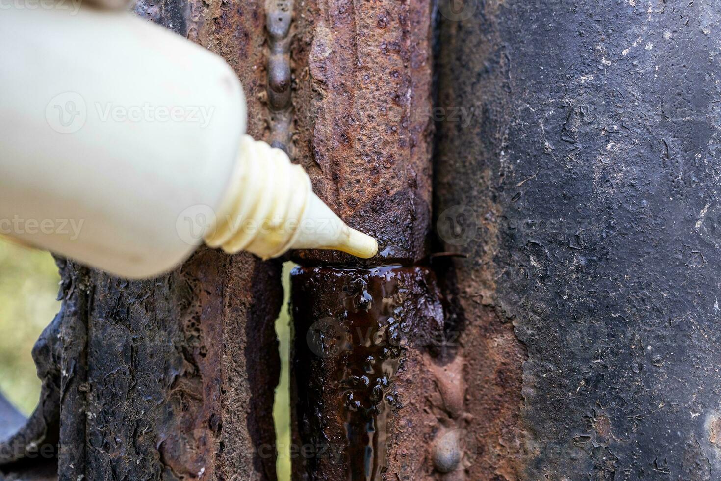 rusty hinge is lubricating with oil from oiler photo