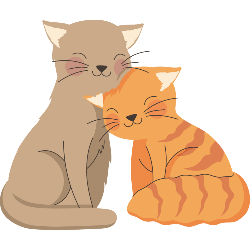cats animals couple love png
