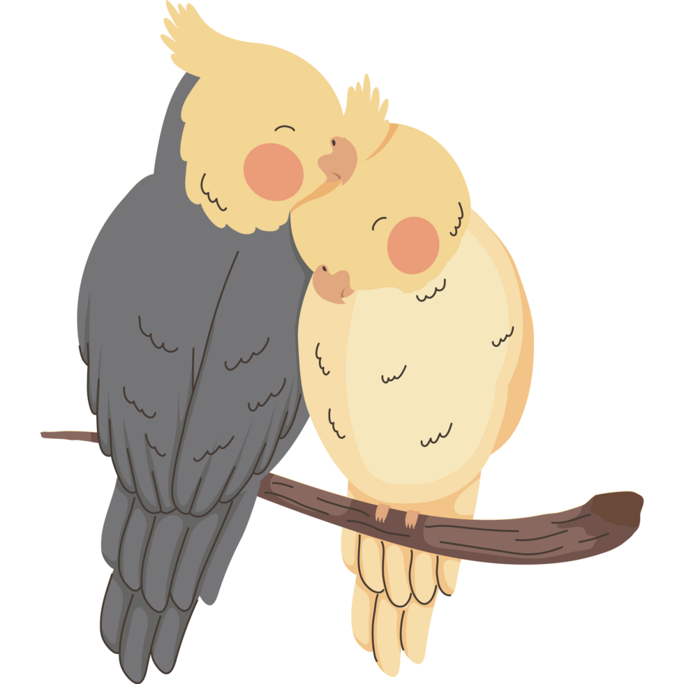 fåglar djur par kärlek png