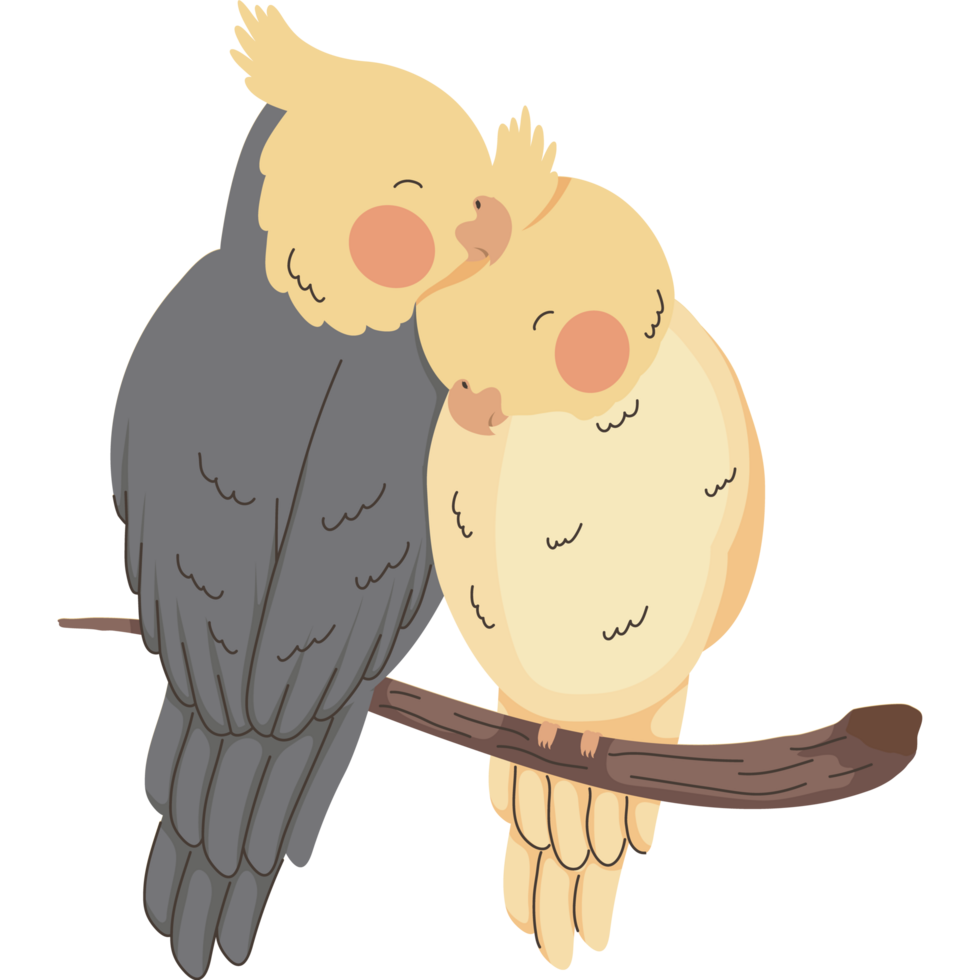 birds animals couple love png
