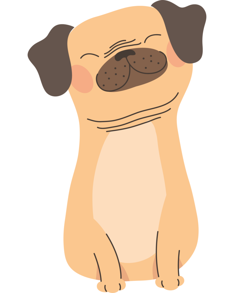 cute dog pet png