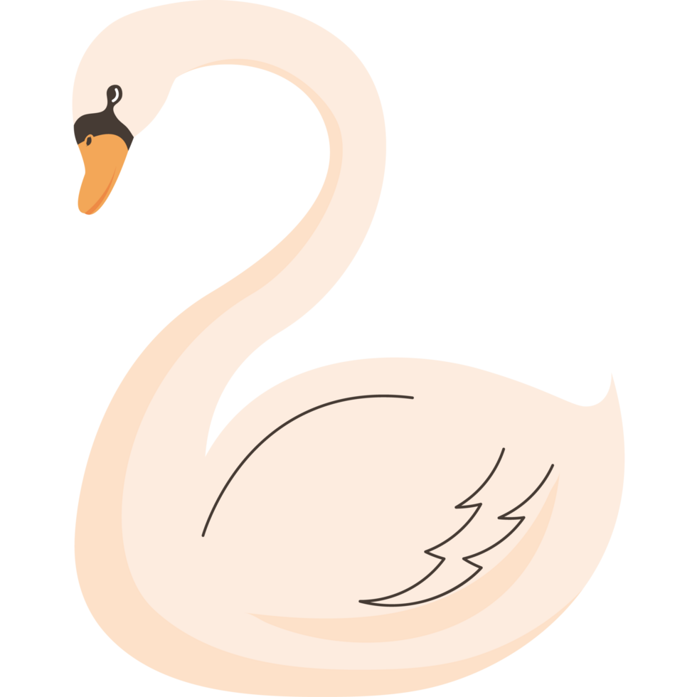 cygne petit oiseau png