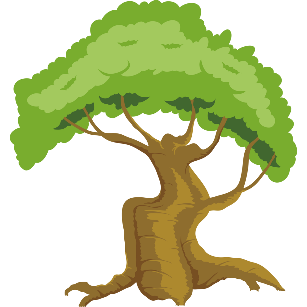 green tree forest 24098234 PNG