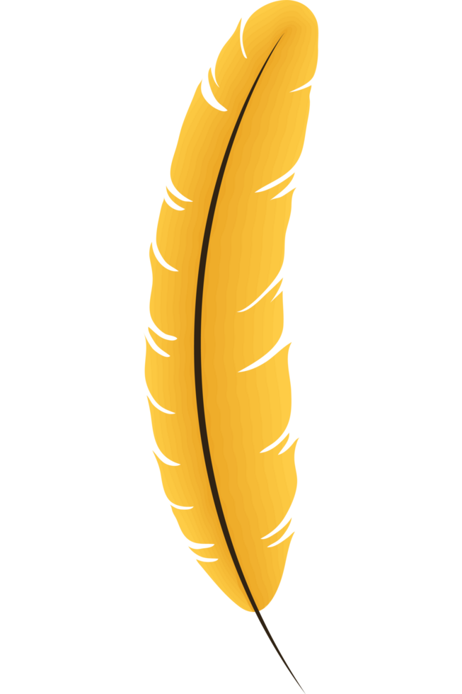 feather bird yellow color png