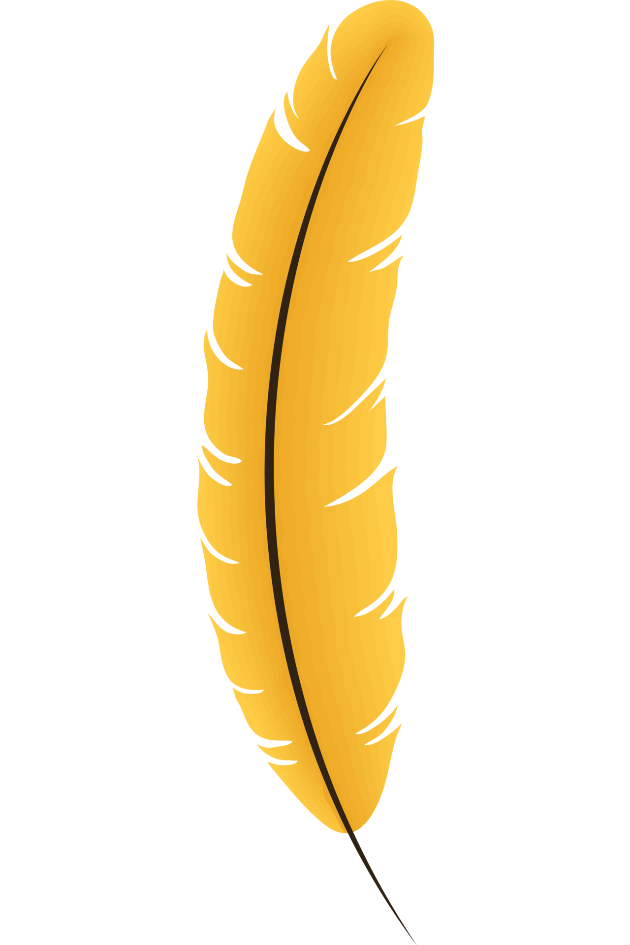 Feather Bird Yellow Color 24098250 PNG feather-bird-yellow-color-24098250-png