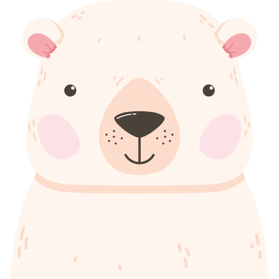 cute polar bear animal png