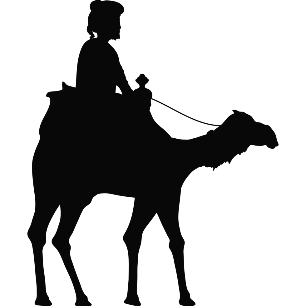 wise men melchior in camel png