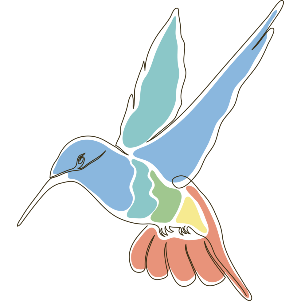 wild hummingbird color drawn png