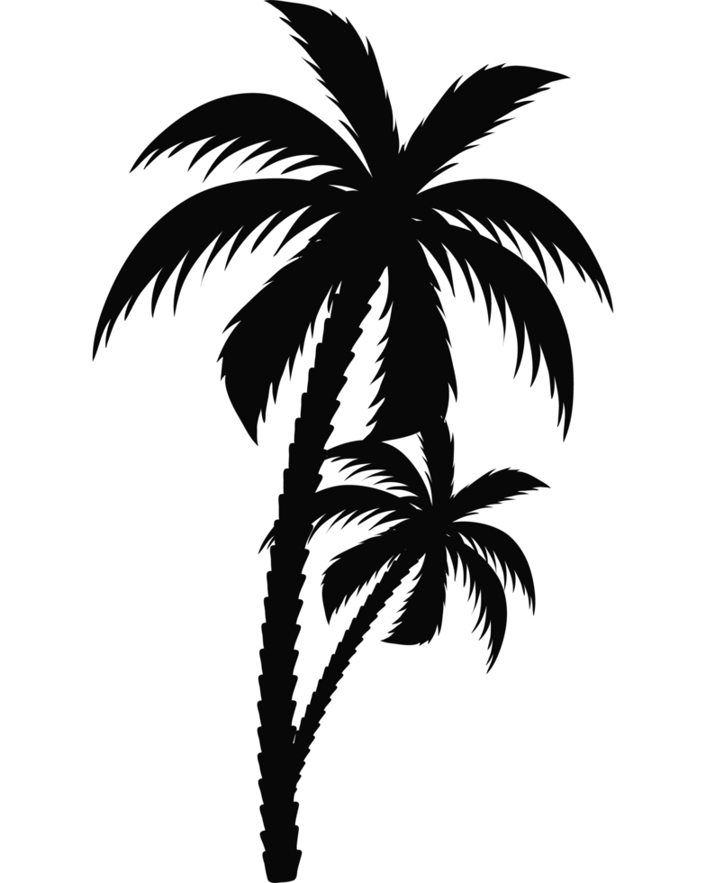 trees-palms-silhouettes-24098460-png