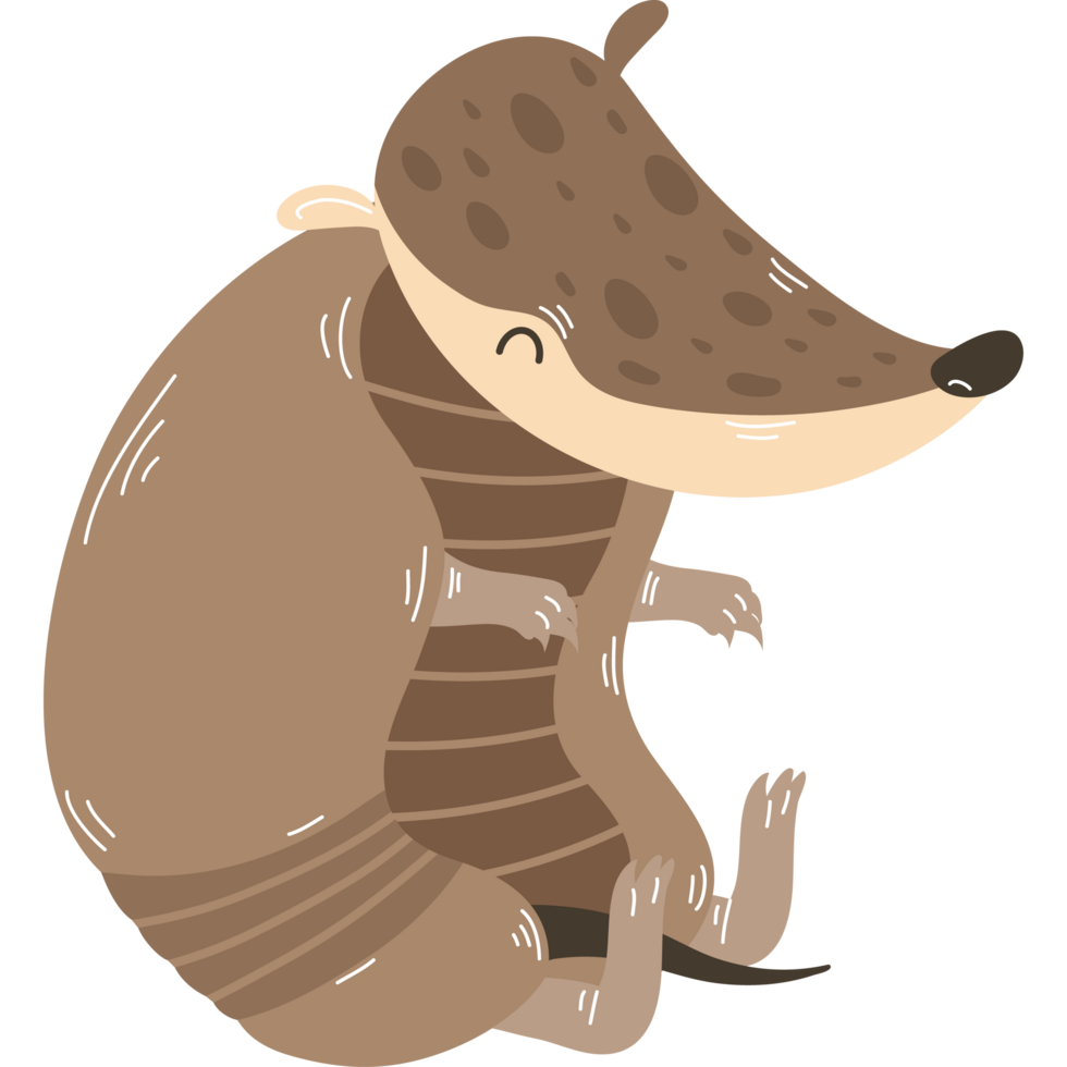 mignon petit animal tatou png