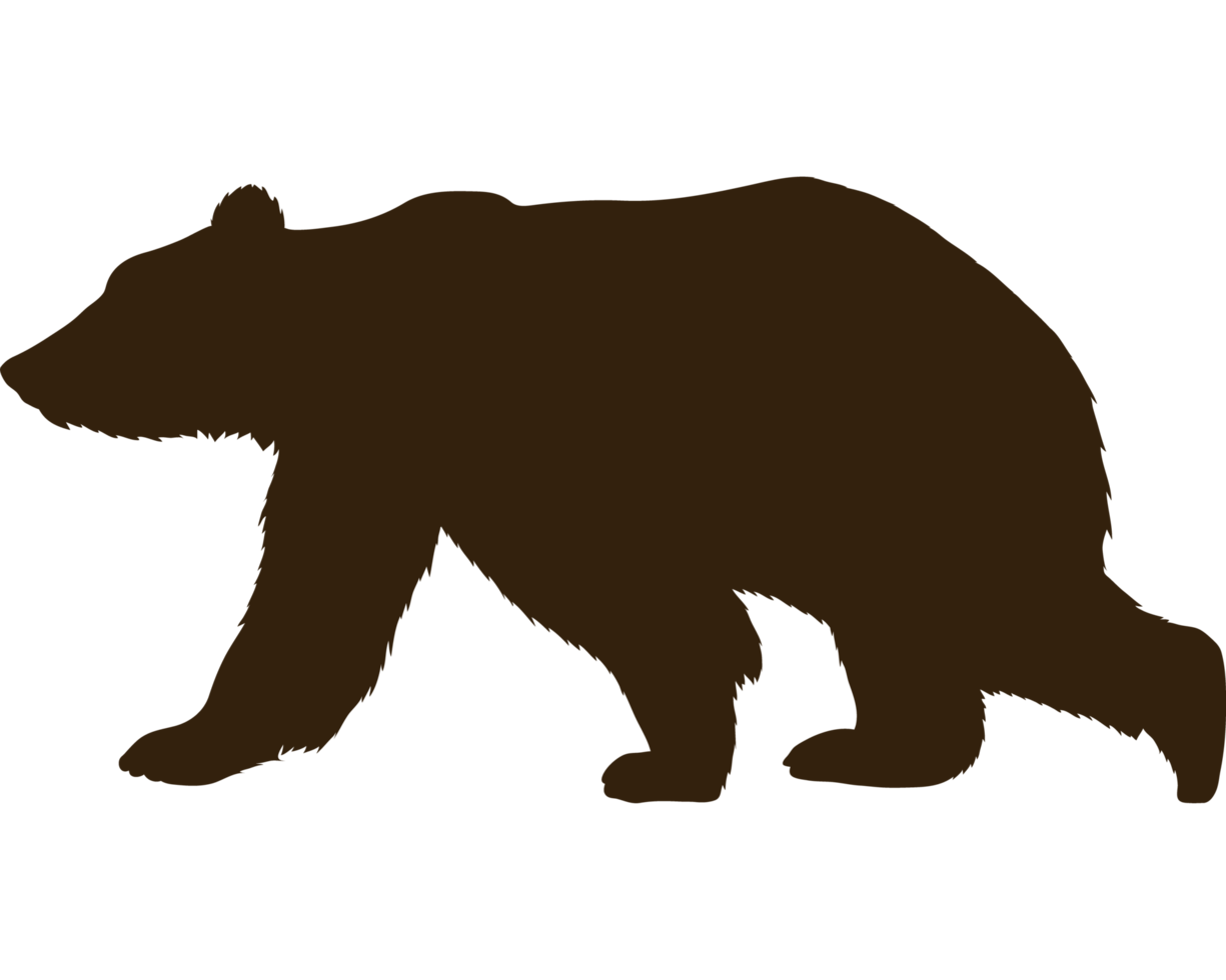 urso silhueta de animal selvagem png