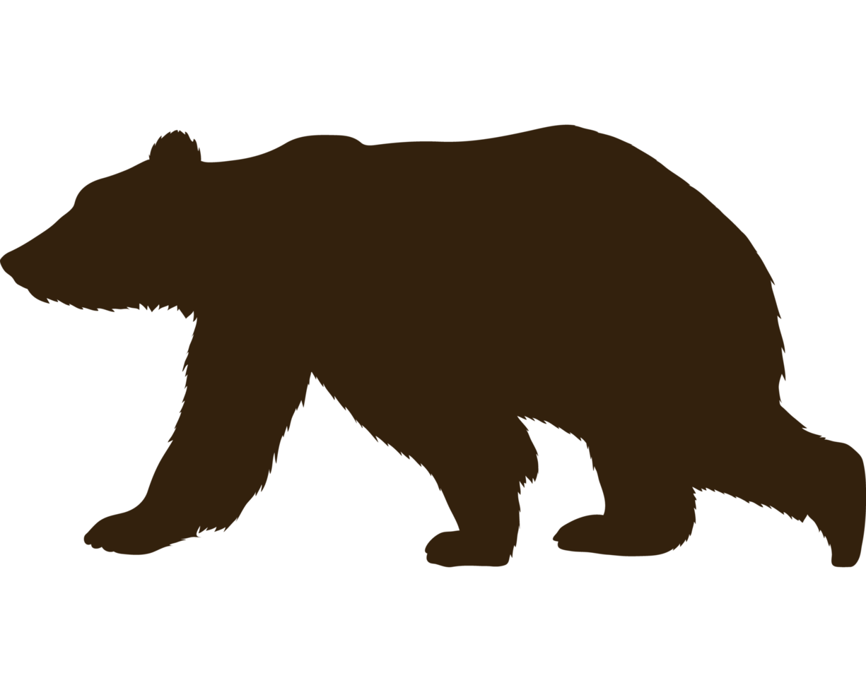 orso sagome di animali selvatici png