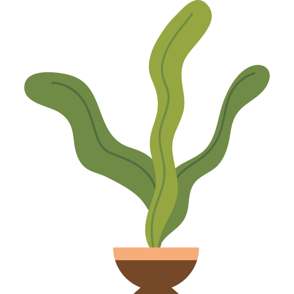 planta de interior en maceta png