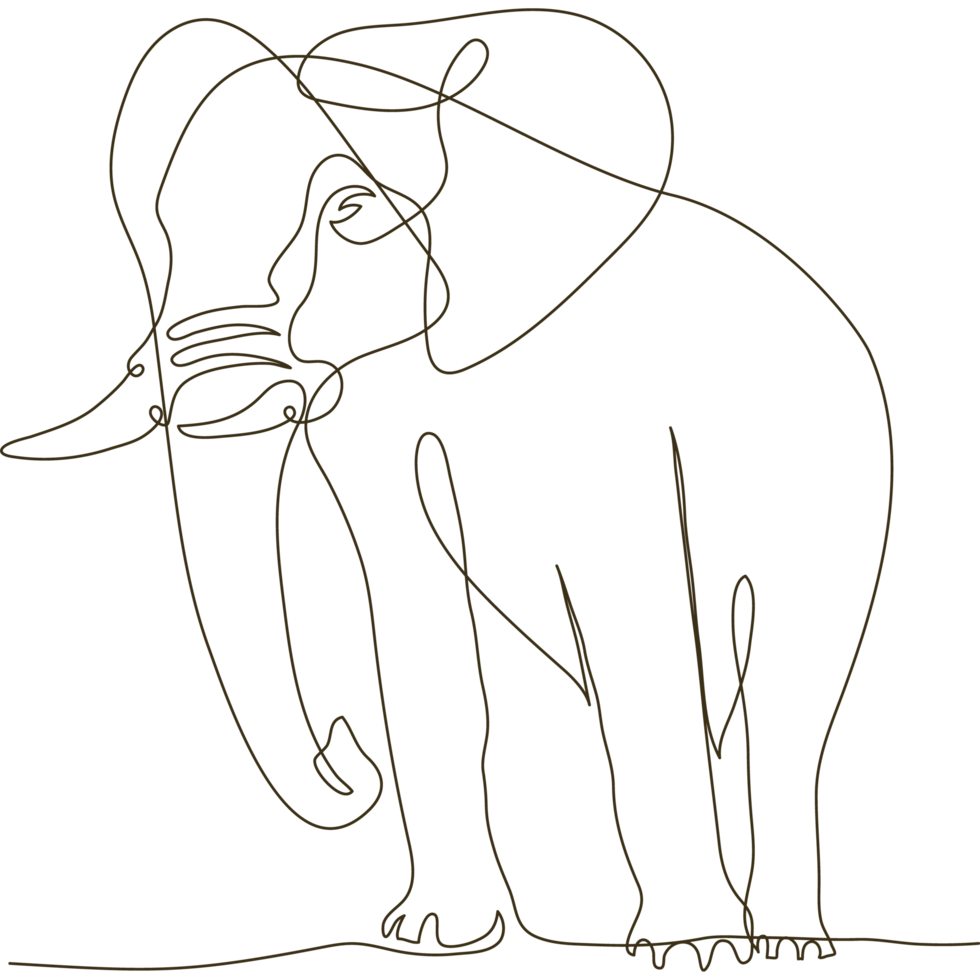 elephant wild line drawn png