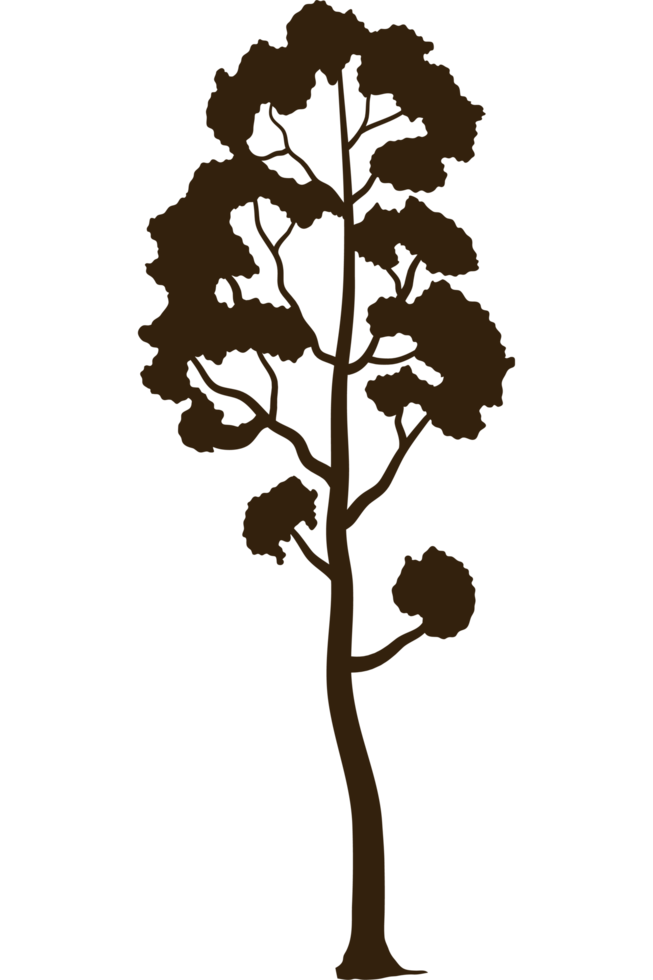 tree plant forest silhouette png