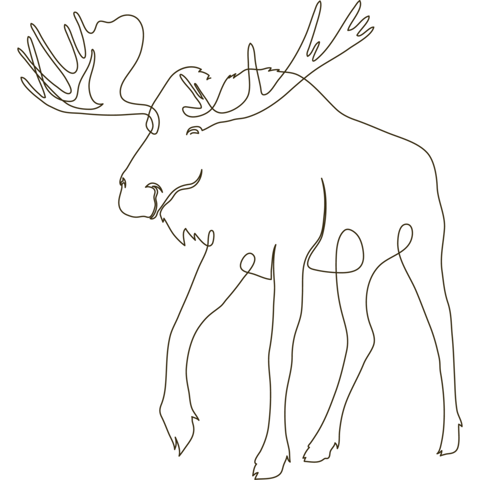 wild moose line drawn png