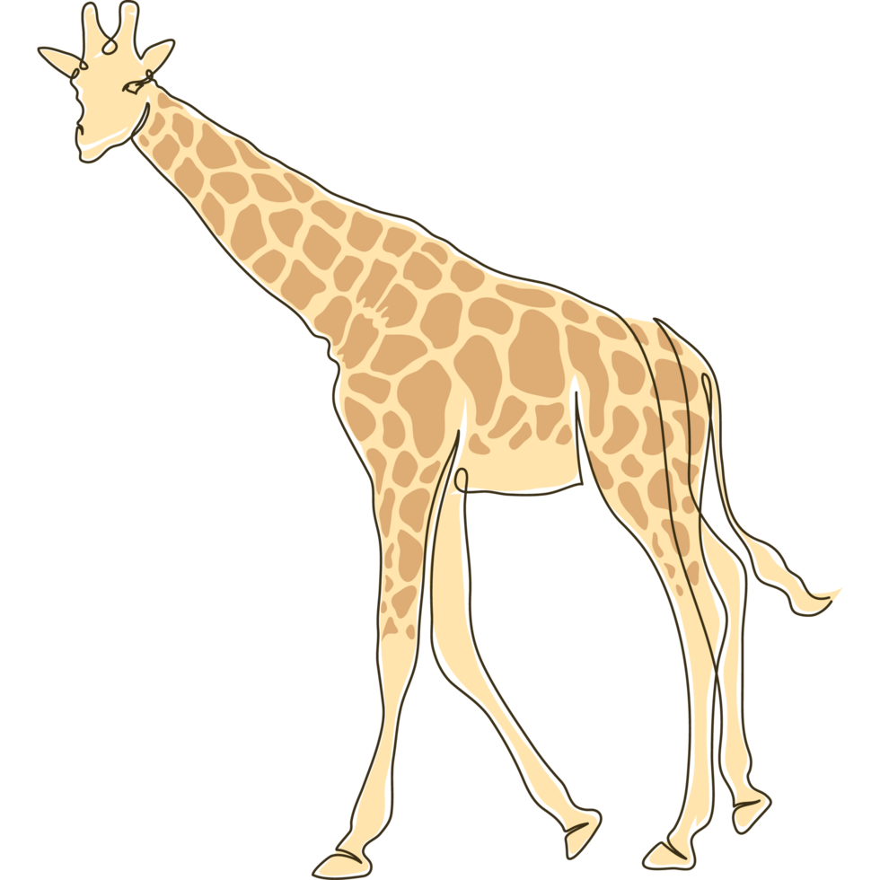wild giraffe color drawn png