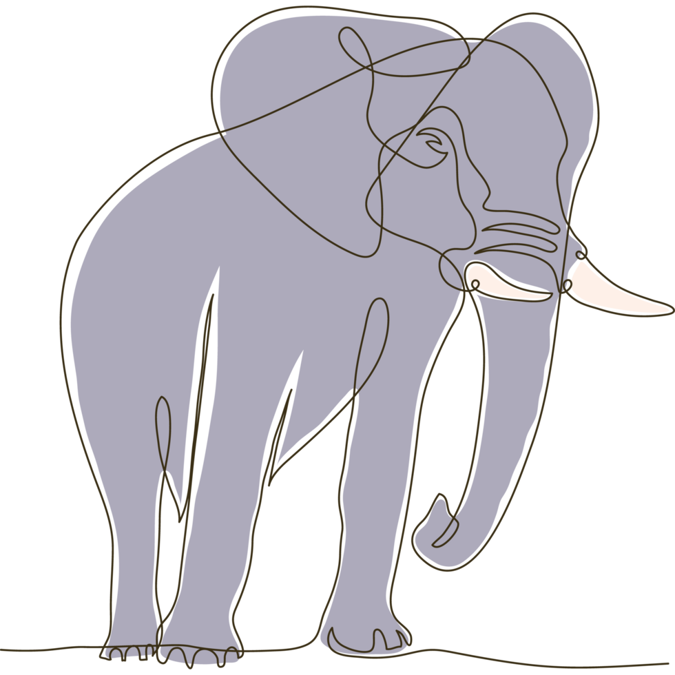 elefante salvaje color dibujado png