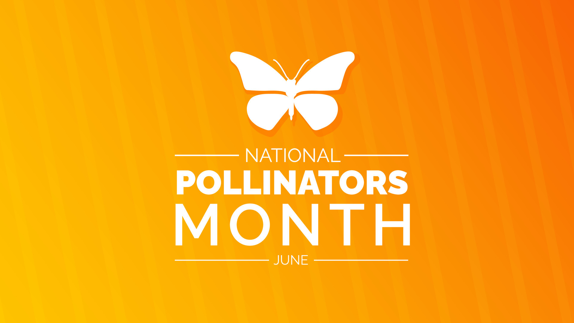 National pollinators month background or banner design template 