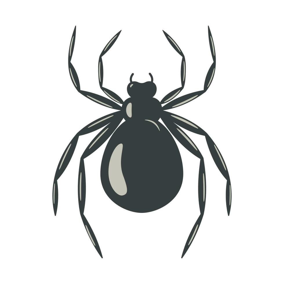 spider black silhouette vector