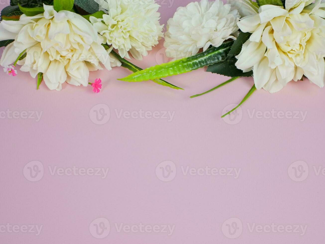 white flower composition on pink pastel background with copy space for text photo